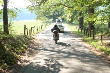 Entering the one-lane, one-way, Cades Cove Loop.